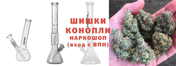 мдпв Бронницы