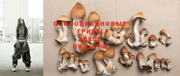 мдпв Бронницы