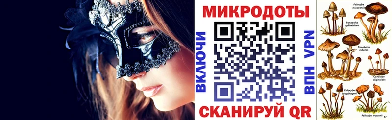 Галлюциногенные грибы Psilocybe  Новопавловск 
